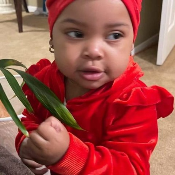 Meet your Posher, James - Picture 1 of 1